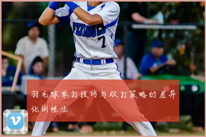 羽毛球单打技巧与双打策略的差异化训练法