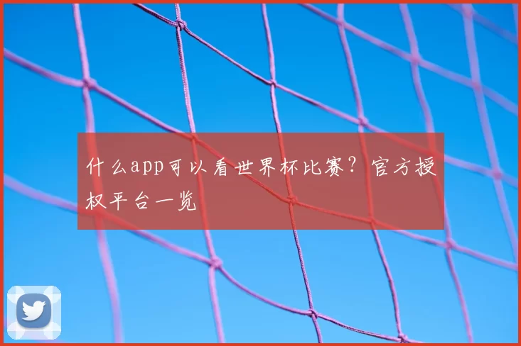 什么app可以看世界杯比赛？官方授权平台一览