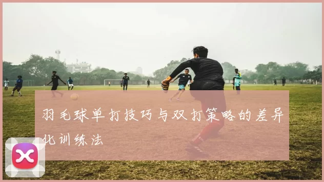 羽毛球单打技巧与双打策略的差异化训练法