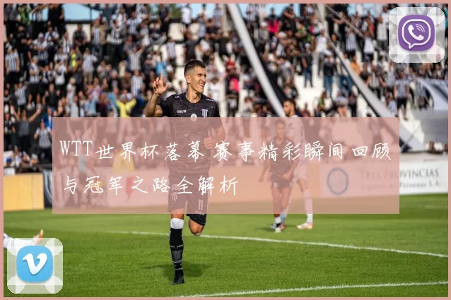 WTT世界杯落幕 赛事精彩瞬间回顾与冠军之路全解析