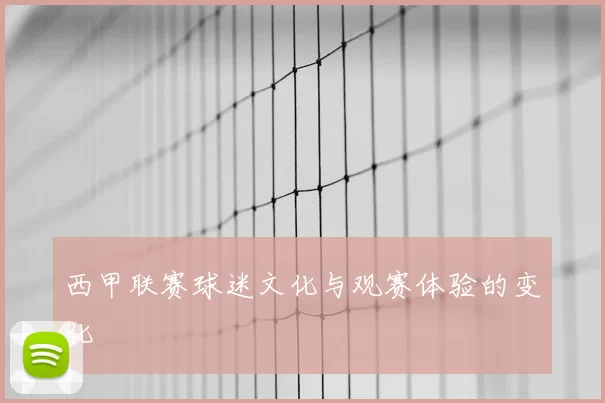 西甲联赛球迷文化与观赛体验的变化