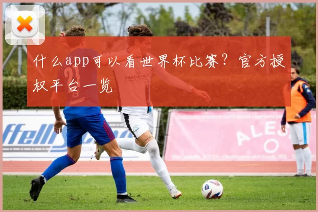 什么app可以看世界杯比赛？官方授权平台一览