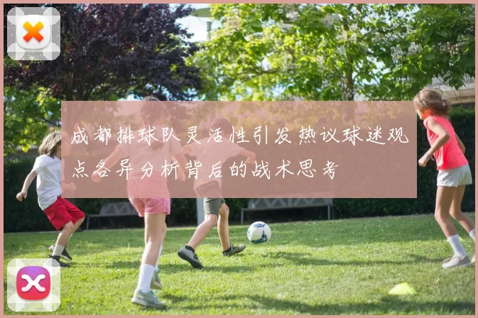 成都排球队灵活性引发热议球迷观点各异分析背后的战术思考